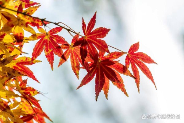 排名前10的证券公司 普通人能靠股票改变命运吗？十六年老股民的肺腑之言，仅分享一次